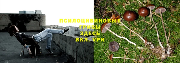 герыч Абдулино